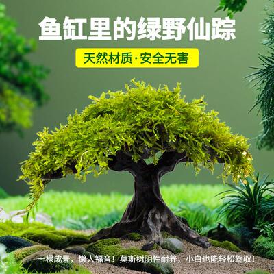 沉木莫斯树水草生态鱼缸专用造景水草树养鱼水草水培植物和鱼共养