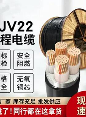 国标YJV电缆VV2 3 4 5铜芯10 16 25 35平方1阻燃架空铠装三相四线