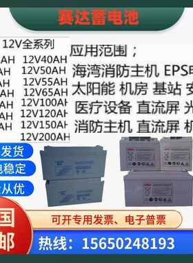 SAIDA赛达蓄电池ST12-100现货供应12V24AH38AH65AH120AH通讯/机房