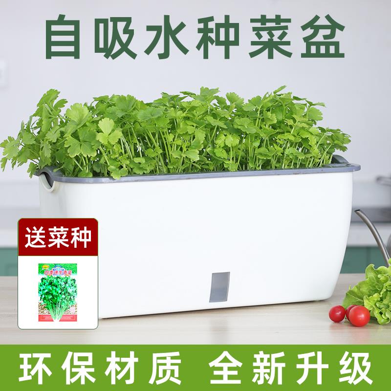 阳台种菜盆家庭蔬菜种植盆专用箱自吸水室内草莓盆栽懒人塑料花盆
