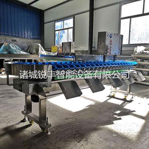 农副产品全自动分拣机触摸式屏自左向右可定制分选机芋头挑选机