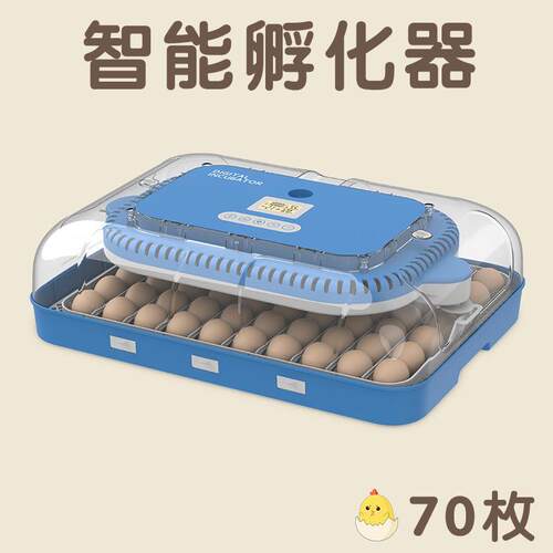 跨境全自动智能控湿家禽双电源孵化器一体机70枚双电源设计