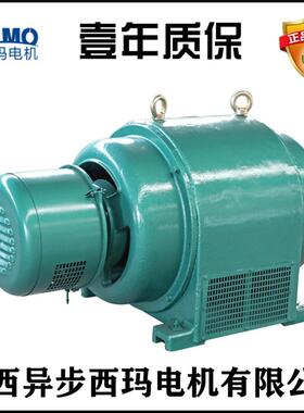 可外加电阻改无刷启动SIMO西玛JR系列YRQ5001-6315KW380V低压