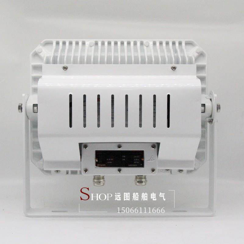 海星船用户外LED不锈钢投光灯射灯TG21/22/18-L探照灯CCS100W200W
