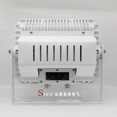 海星船用户外LED不锈钢投光灯射灯TG21/22/18-L探照灯CCS100W200W