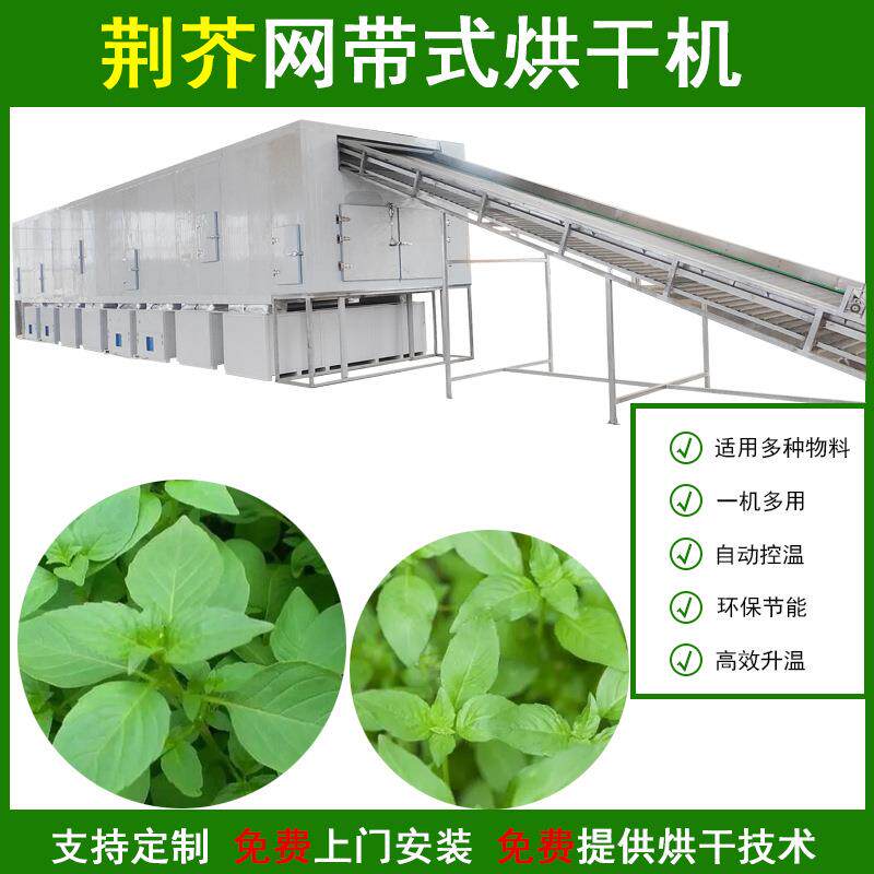 大型网带式荆芥烘干机全自动香荆芥线芥干燥机荆芥穗除湿烘干机