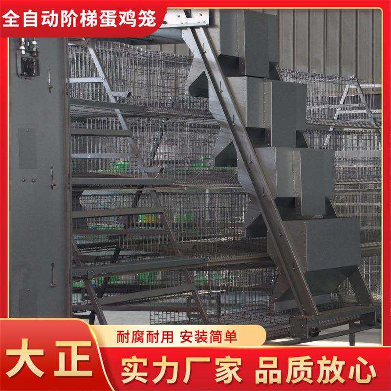 全自框架肉鸡笼 三层立式肉鸡笼 鸡舍养殖厂用鸡笼子镀锌铁丝笼子