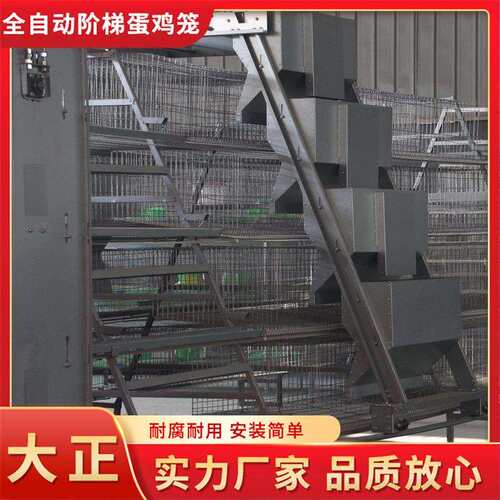 全自框架肉鸡笼 三层立式肉鸡笼 鸡舍养殖厂用鸡笼子镀锌铁丝笼子
