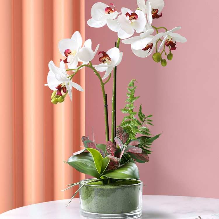 PU手感蝴蝶兰盆栽套装假花客厅门店玄关摆放花卉