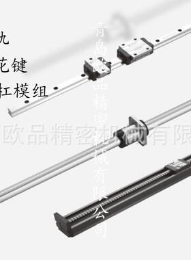 TBI滚珠丝杠DFUR1604-DGC5-520-P1