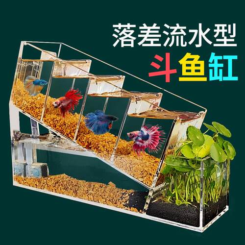 创意斗鱼缸盒桌面小型多格混养隔离循环过滤免换水生态造景装饰缸