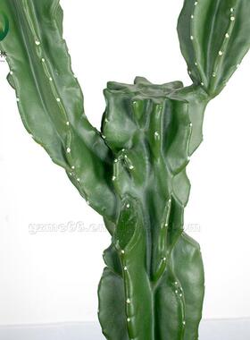 热仙带植物物造景PU杆人柱盆栽大型仿真仙人掌沙1漠植装饰量天尺