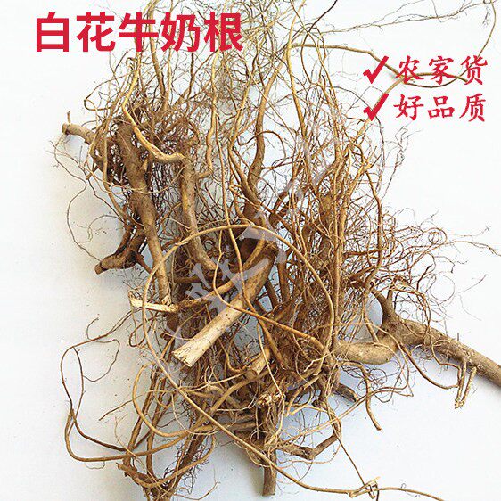 正品福建特产客家野生竹叶小叶白花牛奶子根牛乳树根煲汤食材包邮