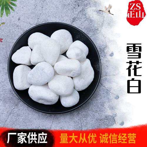 白色石子鹅卵石园林景观石头 庭院造景铺路石子白色石头