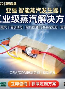 跨境即热式蒸汽发生器蒸汽拖把咖啡机蒸汽电加热蒸汽机油烟清洗机