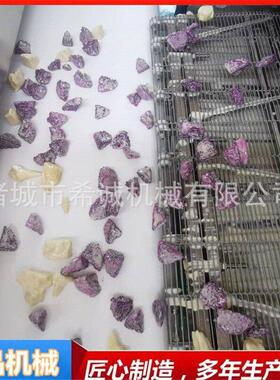 冻干水果巧克力涂层机 果蔬干裹巧克力设备 烤燕麦冷却隧道流水线
