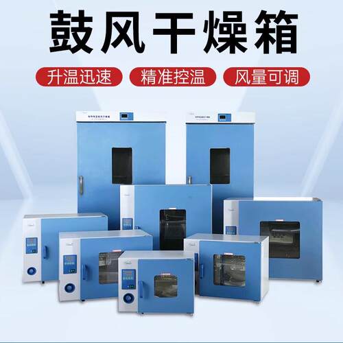 一恒电热恒温鼓风干燥箱实验室DHG9030A/9070A数显工业烤箱烘干箱
