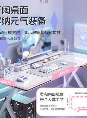 家用电脑桌台式桌新款电竞桌带穿线孔加固加厚书桌出租屋学习桌子