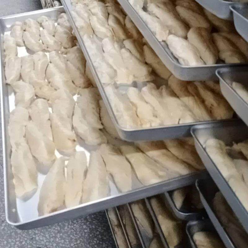 宠物零食蛋黄冻小干机 冻干南极磷虾猫HWC食干设备 鱼FD真空冻零