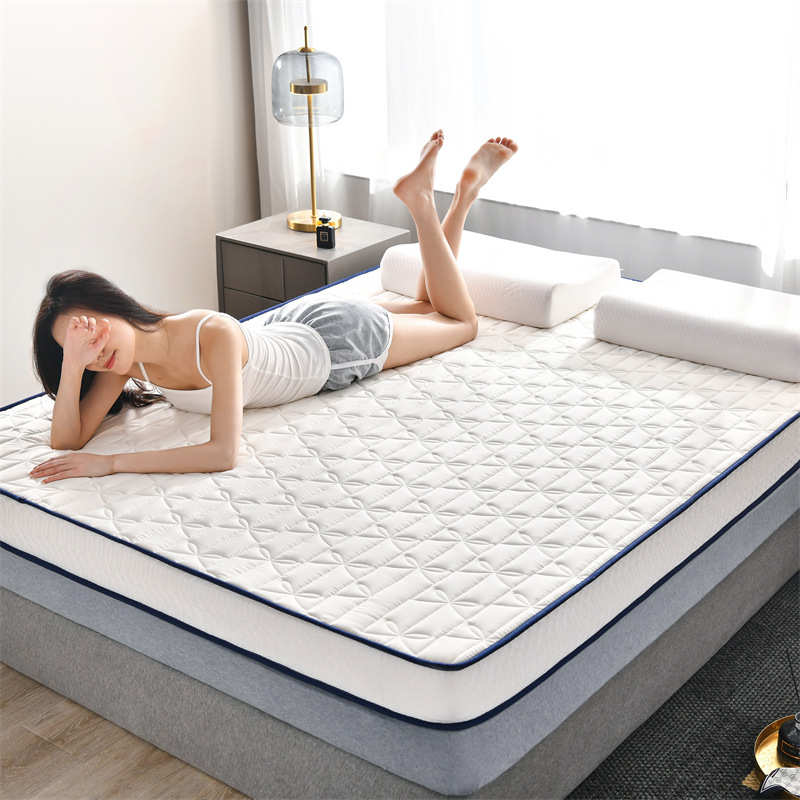 厂家直销四季款床垫家用加厚软垫学生宿舍单双人榻榻米海绵垫褥子