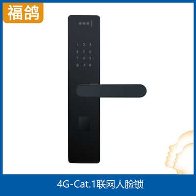 4G-Cat.1人脸锁/公寓人脸锁/酒店人脸锁/公租房人脸锁/民宿人脸锁