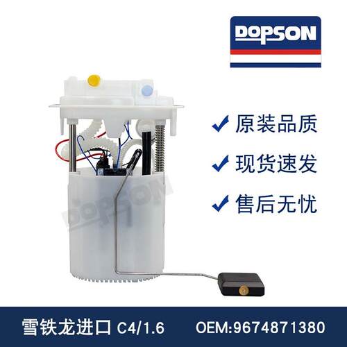 1613305280 9674871380 9684994580 9657601480 雪铁龙燃油泵总成