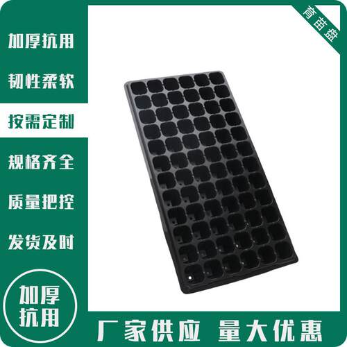 72孔pet材质番茄育苗穴盘辣椒育苗盘