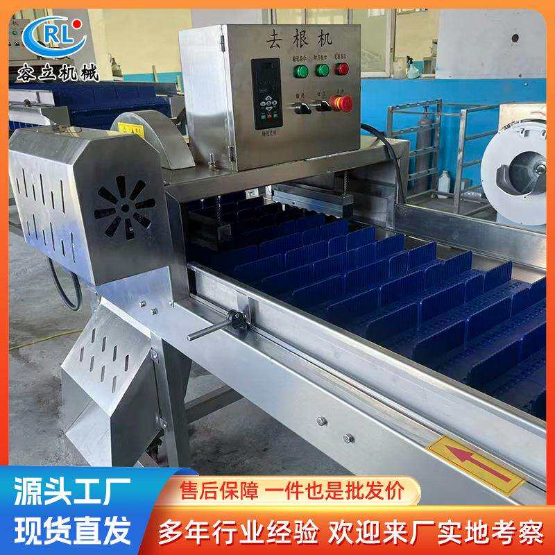 全自动茴香去根机 输送型莴苣长方形蔬菜切根设备 商用果蔬去根机