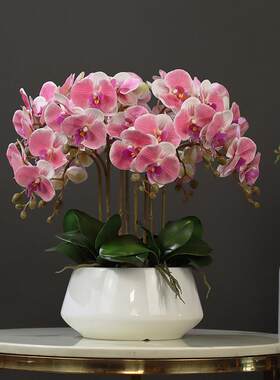 花与梦彷真蝴蝶兰假花客厅装饰摆件桌面兰花盆栽餐桌摆花轻奢花艺
