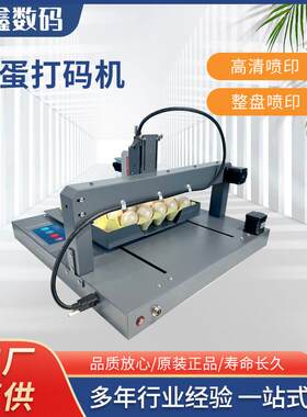 全自动鸡蛋喷码机小型整盘喷印生产日期序列号蛋品鸭蛋打码机