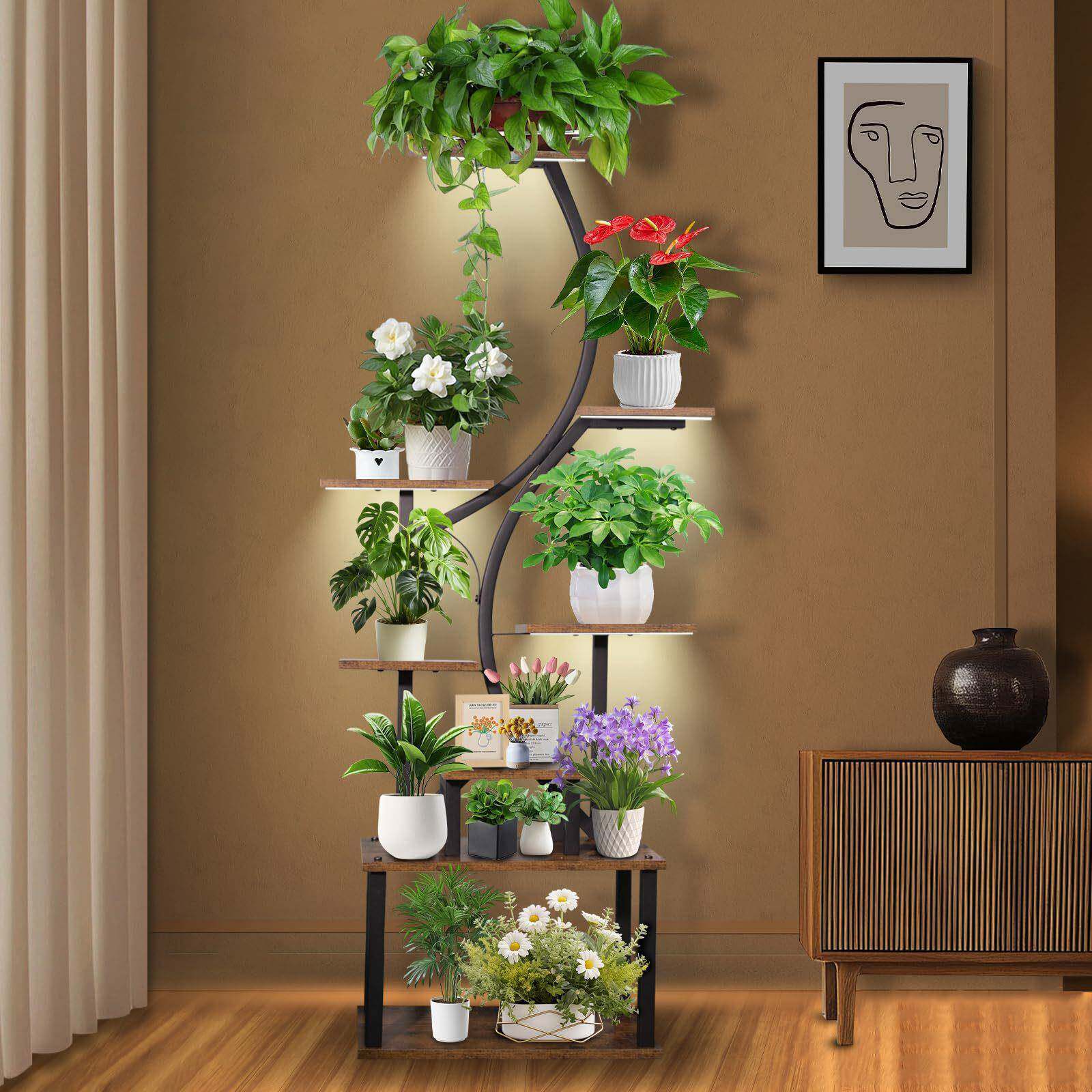 室内植物支高大型多架8层金属植物搁架板室内植物展示架内卉花展