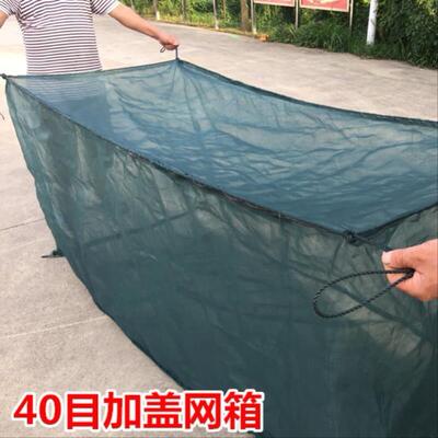 箱网养鱼箱养殖网专用存鱼泥鳅龙虾鳝鱼螃蟹尼龙养鱼网水产育苗网