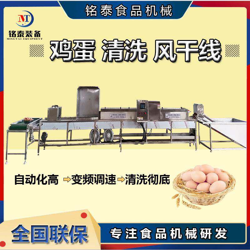 商用鸡蛋清洗机304不锈钢洗蛋风干喷油成套设备松花蛋去泥机