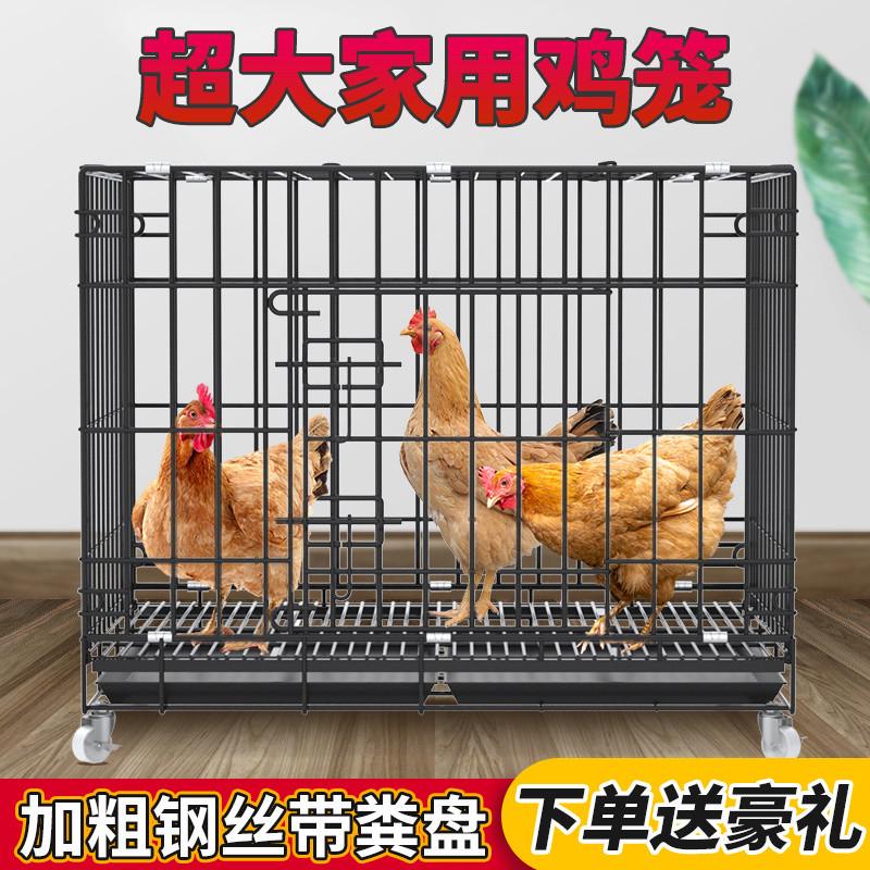 鸡笼子家用大号加粗养殖笼鸡舍鸡笼鸭笼折叠自动滚蛋鸡笼