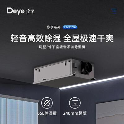 吊顶除湿机超薄款不占空高可配套空调水泵智能排水DY-C65DZ/A