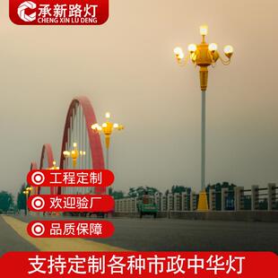 户外莲花造型玉兰灯广场道路9米led中华灯八叉5火名族文化景观灯