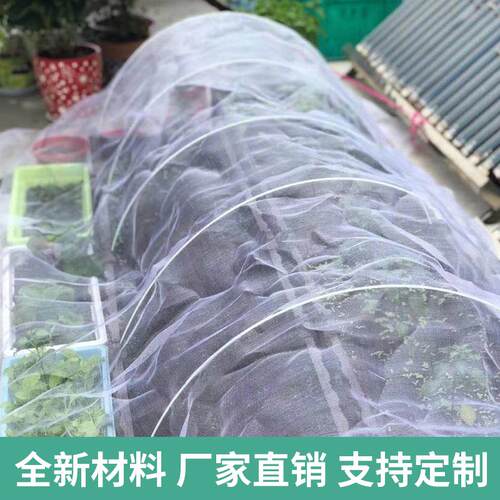 批发现货防虫网60目80目 蔬菜大棚 果树网罩围网农用加厚聚乙烯