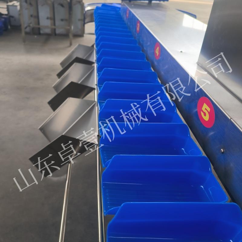 龙重量机分选机DXD海鲜水产分级对虾重量检测分拣机全自小动商虾