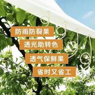 防雨布拒雨布樱桃脆子李果树专用防水布砂糖橘柑橘防寒布防冻布