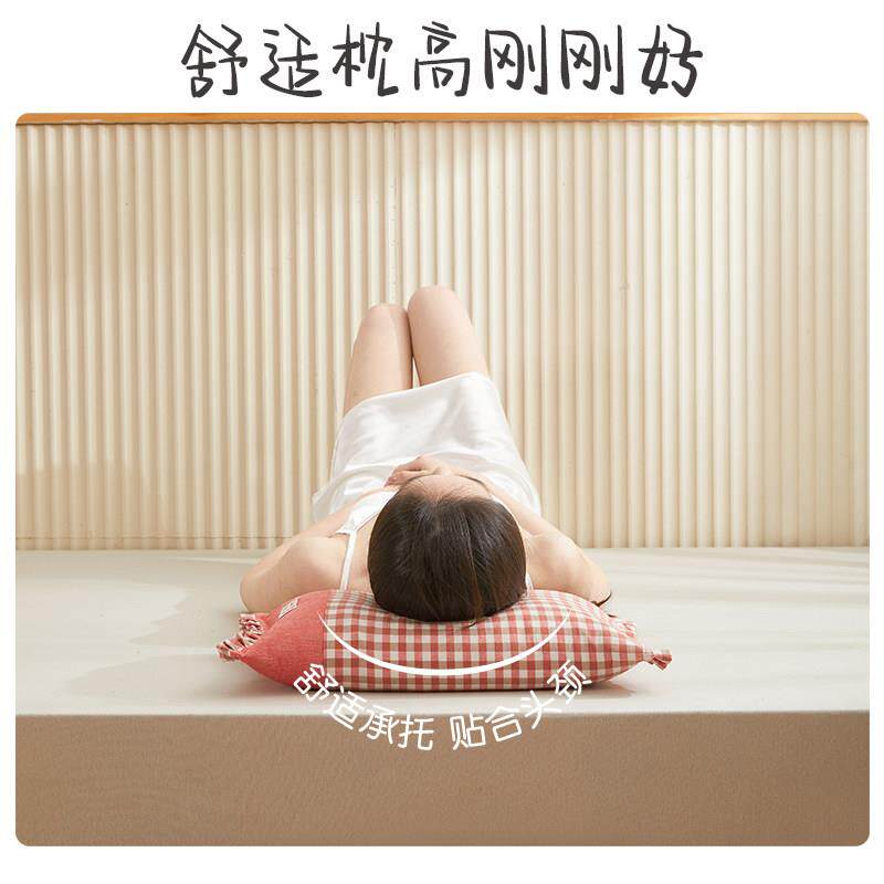 艾3洛琳儿童荞以麦皮枕--6ZT-032-2岁上宝宝幼儿园枕头芯小学生午