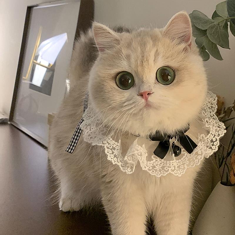 猫咪项圈宠物围脖公主风耶诞节围巾口水巾围兜狗狗小猫铃铛装饰品