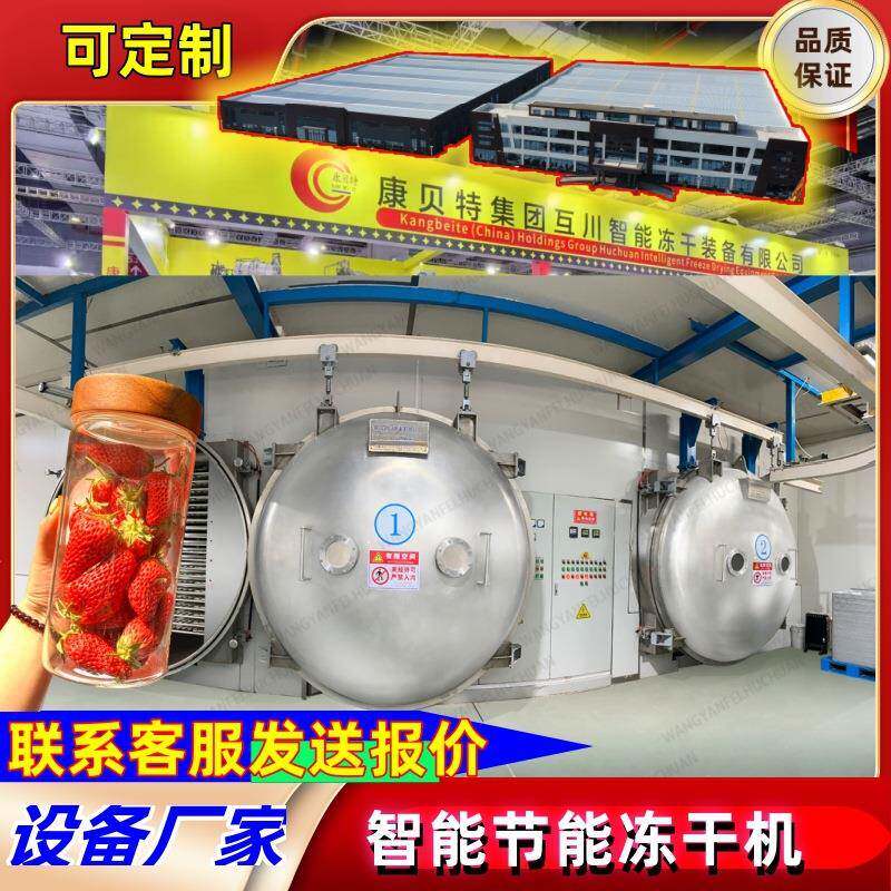 冻干机家用 可民用冻干设备 商用大型蓝莓水果蔬菜真空冷冻干燥机