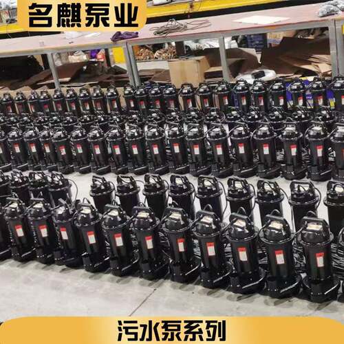 污水泵系列无堵塞潜水排污泵工程工地养殖化工家用农用污水泵