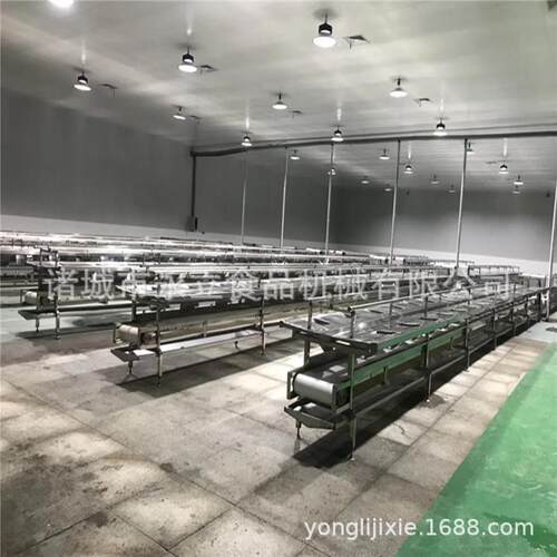 全自动西红柿剥皮挑拣线人工操作台果蔬挑拣台打包装箱案板