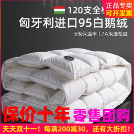 博洋120支全棉匈牙利进口95白鹅绒春秋羽绒被芯冬季加厚保暖被子