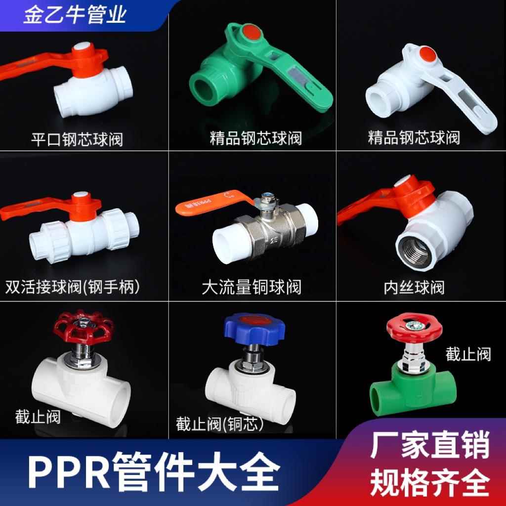 ppr水管配件ppr阀门水管接头截止阀铜球阀阀门全塑球阀门开关闸阀
