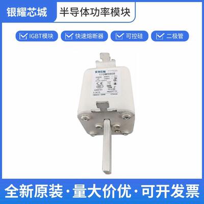 170M5808 电动汽车熔断器 保险丝 巴斯曼 批次23+