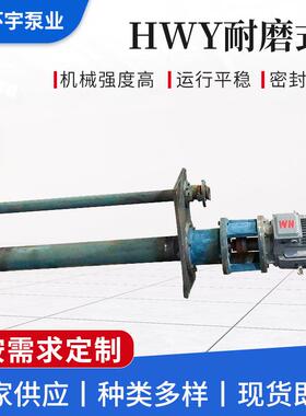 HWY耐磨式泵立式无堵塞渣浆泵不锈钢液下泵排污泵池塘清淤液下泵