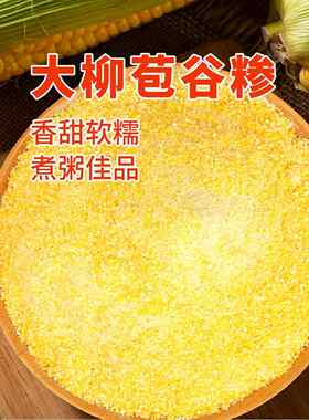 新疆包邮【十堰馆】湖北十堰大柳玉米面苞谷糁五谷粗杂粮煮粥食材