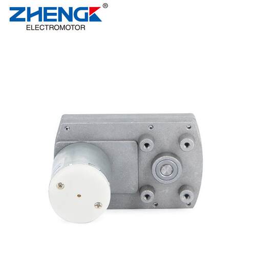 ZHENGK正科 ZGB95FE可调速正反转大扭矩减速电机偏心轴12V 24V